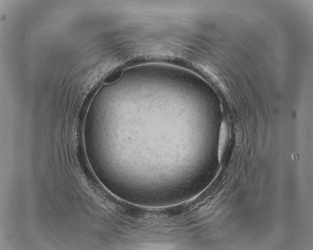 X0000087390487200704271626