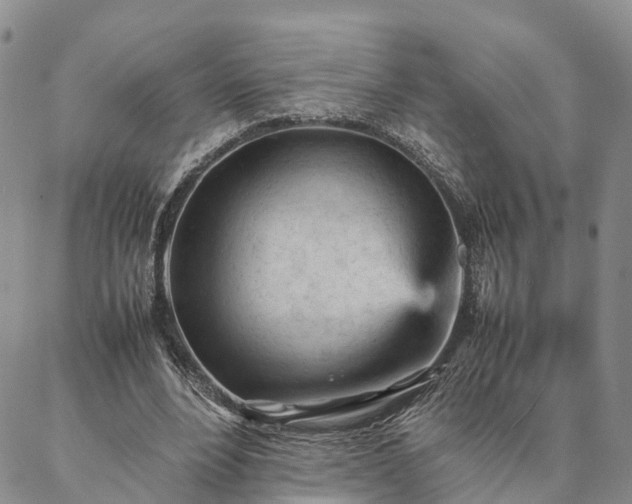 X0000087390488200704271626