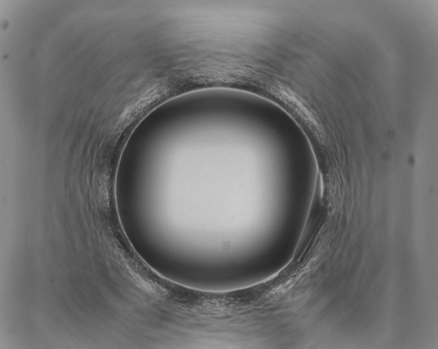 X0000087390489200704271626