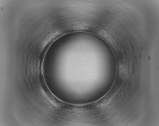 X0000087390490200704271626