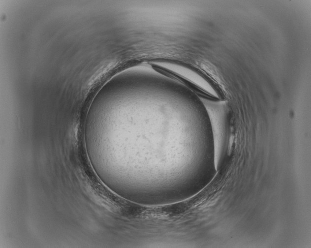 X0000087390491200704271626