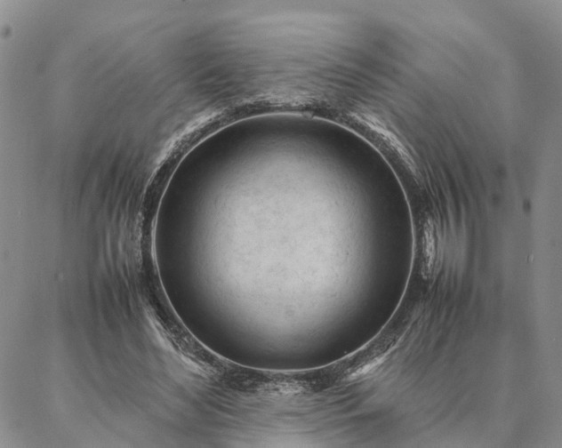 X0000087390492200704271626