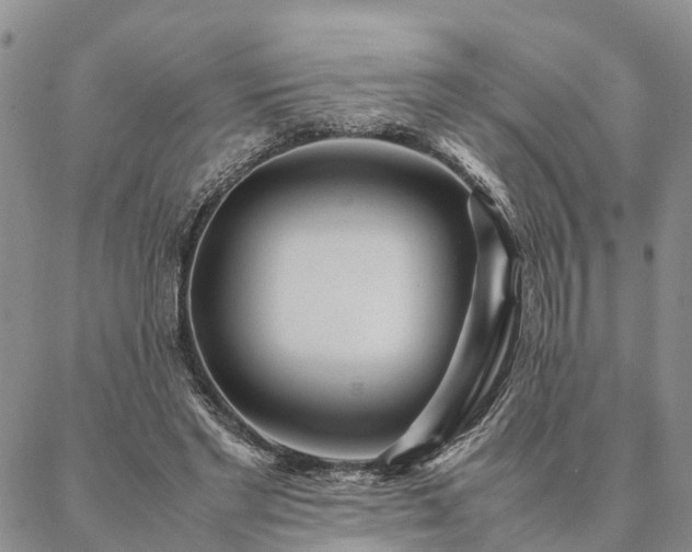 X0000087390493200704271626