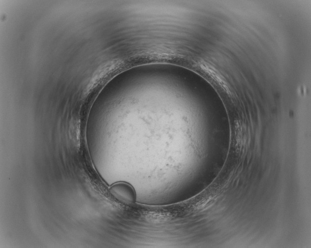 X0000087390494200704271626