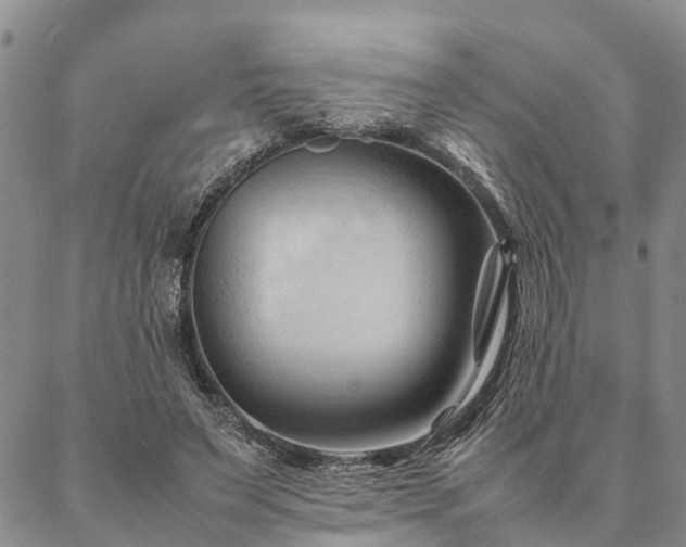 X0000087390495200704271626