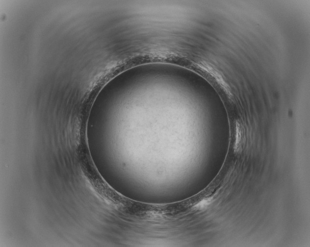 X0000087390496200704271626