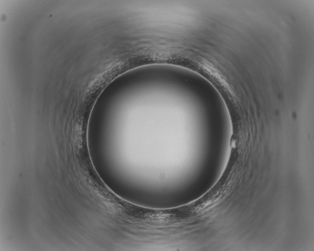 X0000087390497200704271626