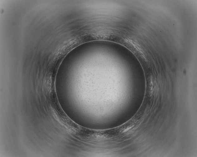 X0000087390498200704271626