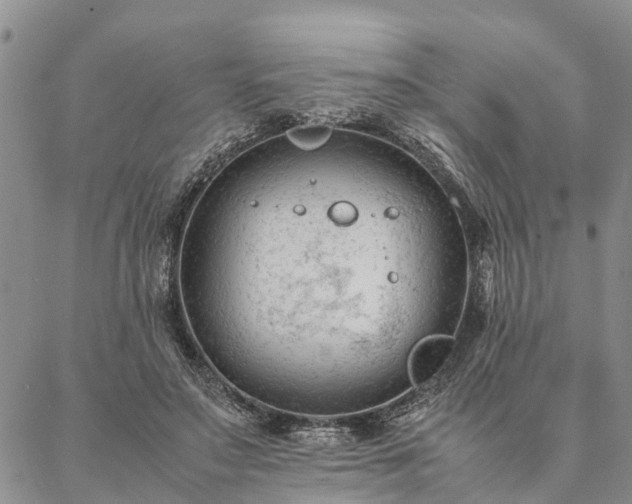 X0000087390499200704271626