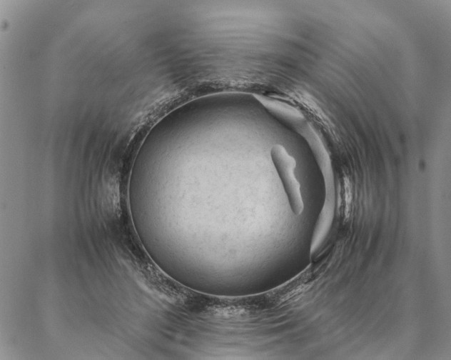 X0000087390500200704271626