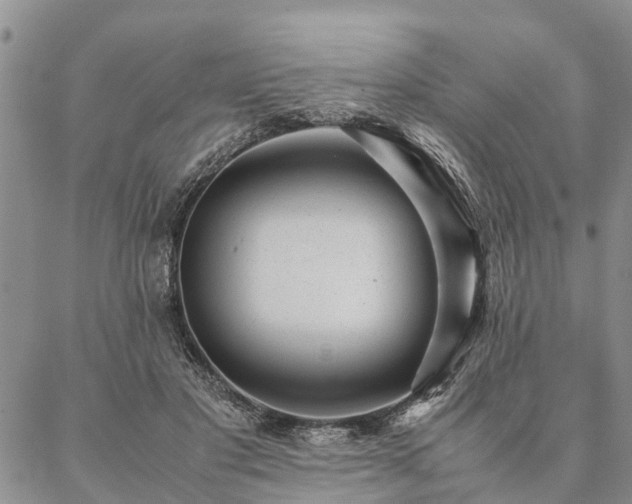 X0000087390501200704271626