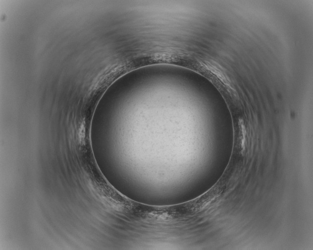 X0000087390502200704271626