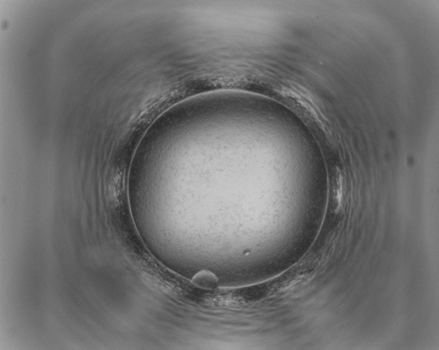 X0000087390503200704271626