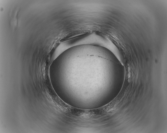 X0000087390504200704271626