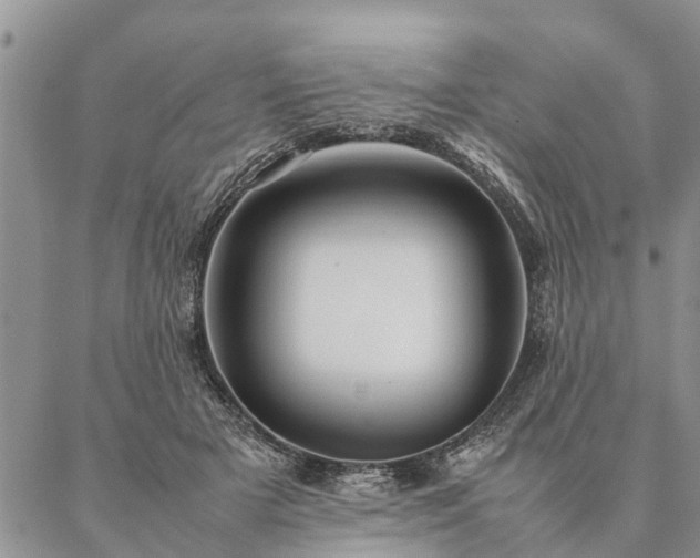 X0000087390505200704271626