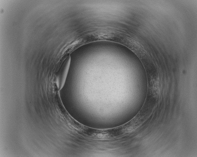 X0000087390506200704271625