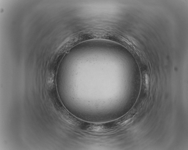 X0000087390507200704271625