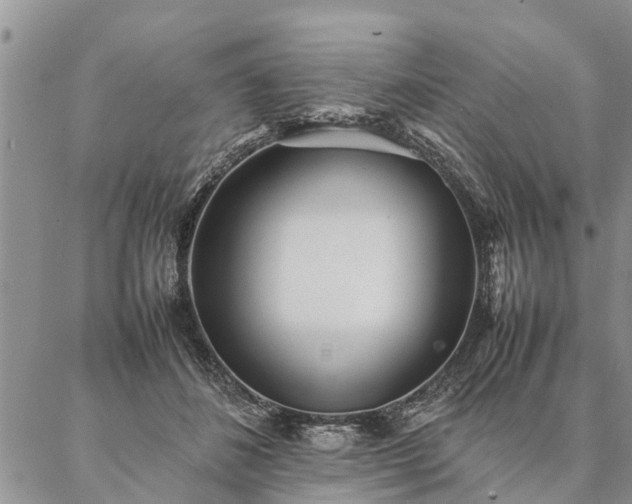 X0000087390508200704271625