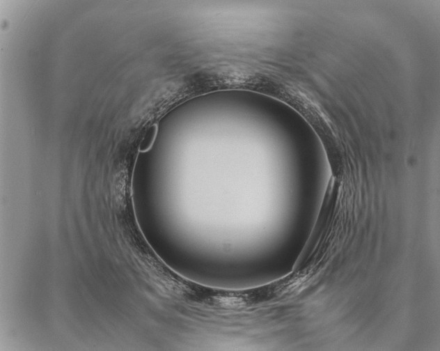 X0000087390509200704271625