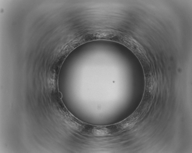 X0000087390510200704271625