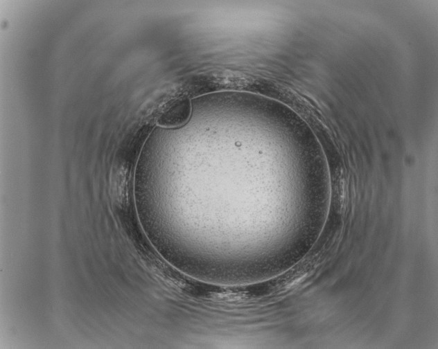 X0000087390511200704271625