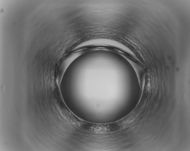 X0000087390512200704271625