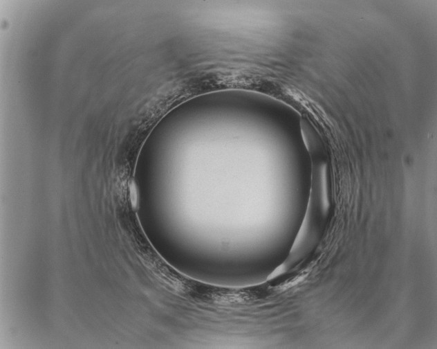 X0000087390513200704271625