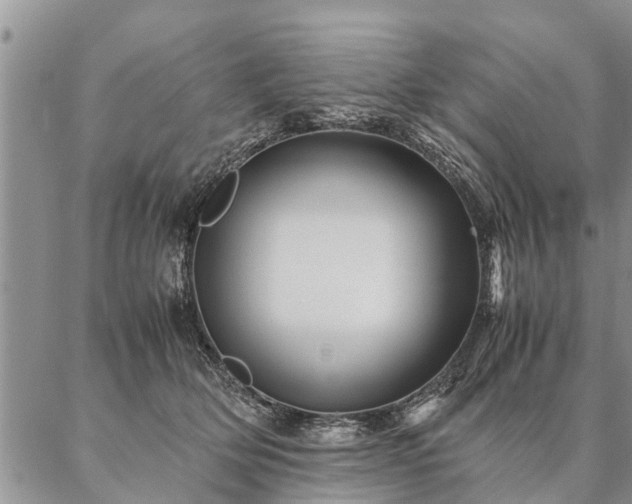 X0000087390514200704271625