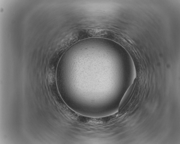 X0000087390515200704271625