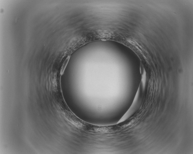 X0000087390516200704271625