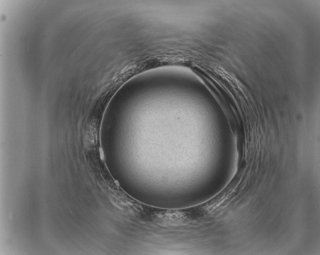 X0000087390517200704271625