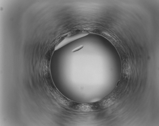 X0000087390518200704271625