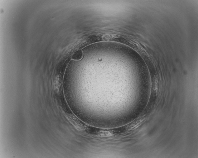 X0000087390519200704271625