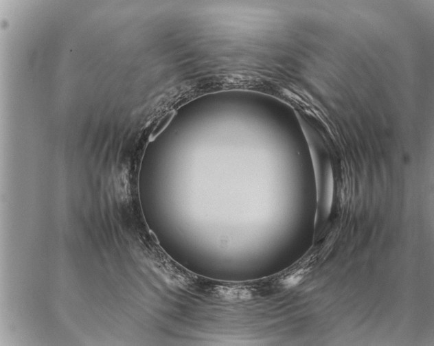 X0000087390520200704271625