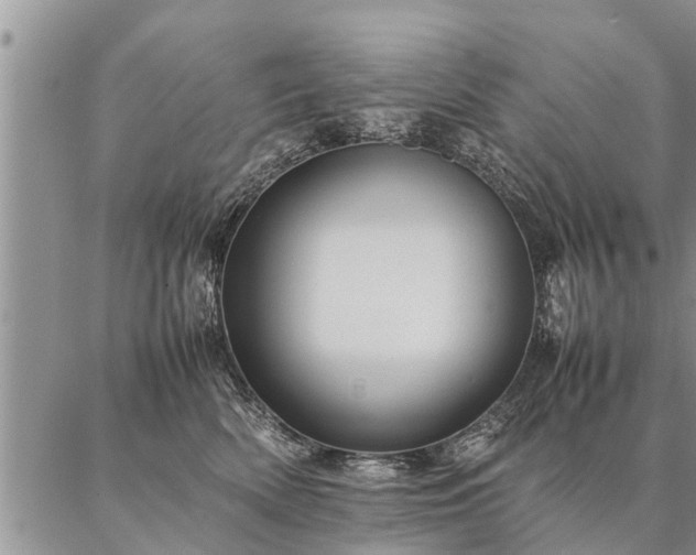 X0000087390522200704271625