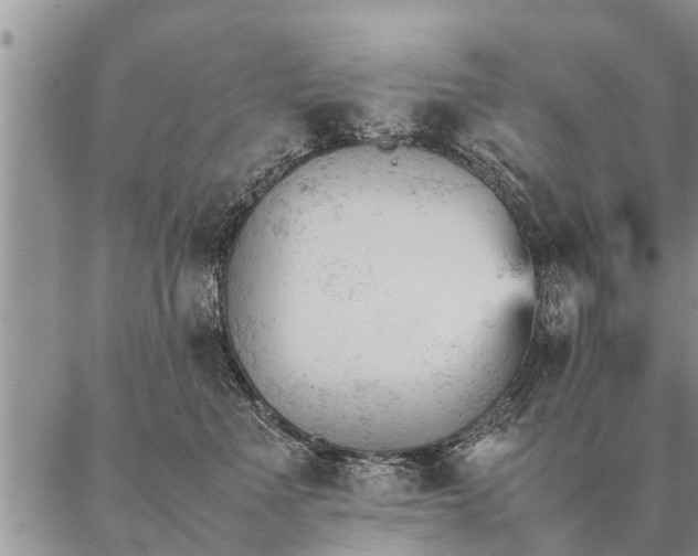 X0000087390523200704271625