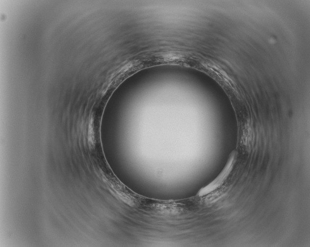 X0000087390524200704271625