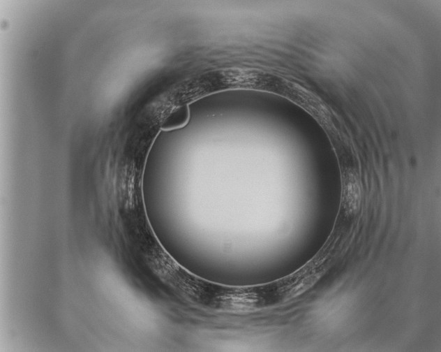 X0000087390525200704271625