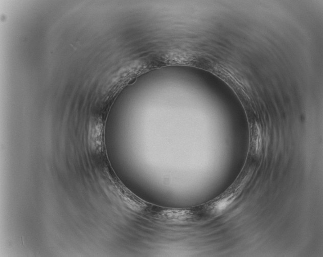 X0000087390526200704271625