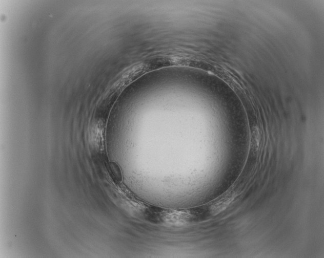 X0000087390527200704271625