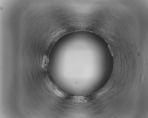 X0000087390528200704271625