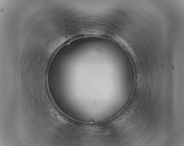 X0000087390529200704271624