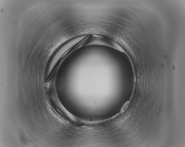 X0000087390530200704271624