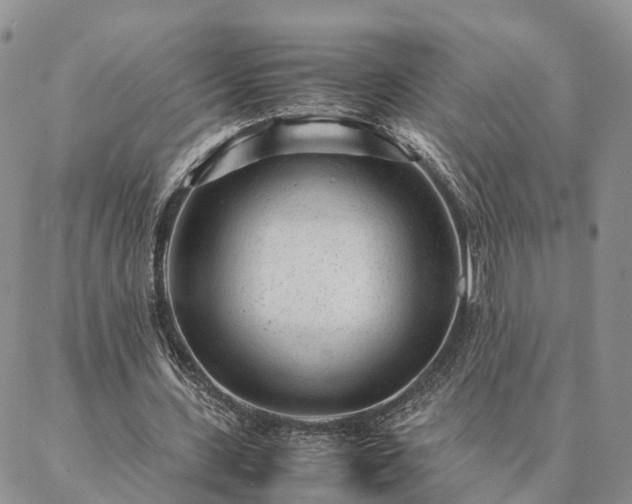 X0000087390531200704271624