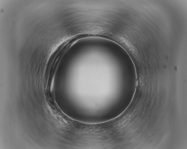 X0000087390532200704271624