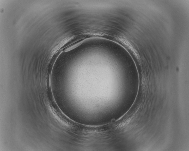 X0000087390533200704271624