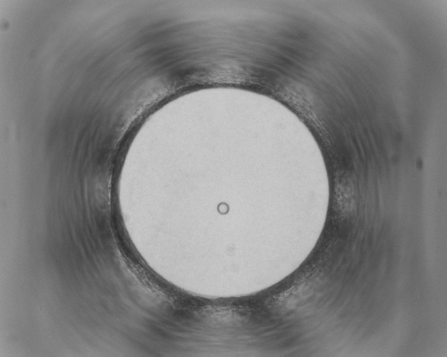 X0000087390534200704271624