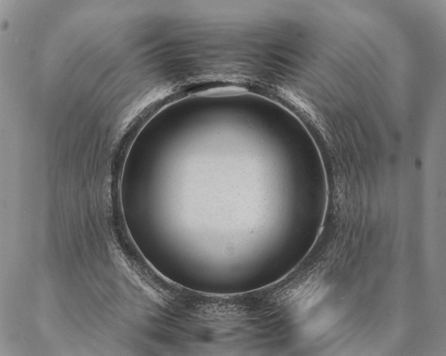 X0000087390535200704271624