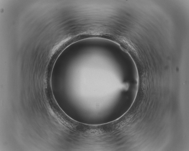 X0000087390536200704271624