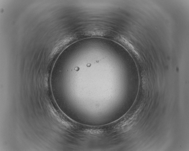 X0000087390537200704271624